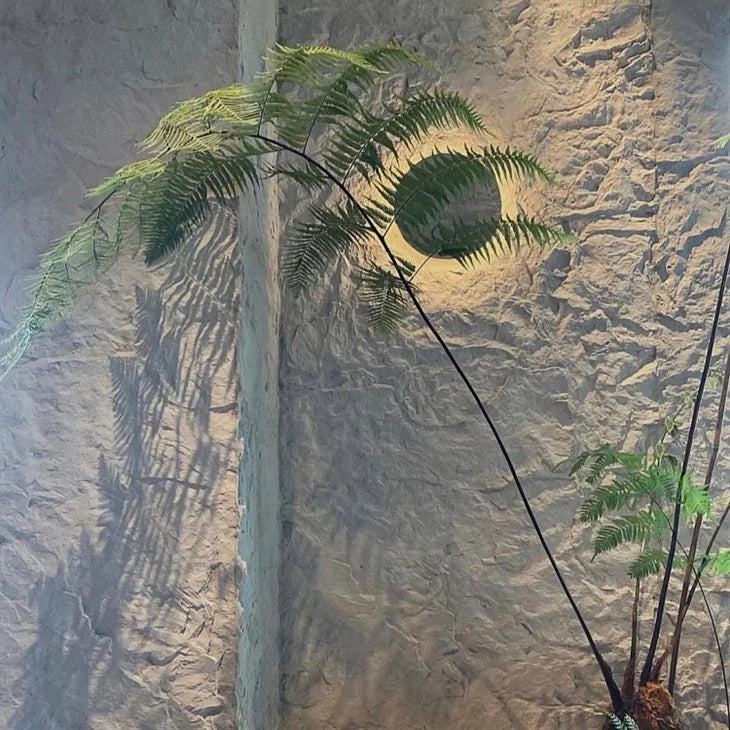 (3D) Nouvelle coupe de roche