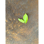 Rust Board Stone 3D fire rated panel